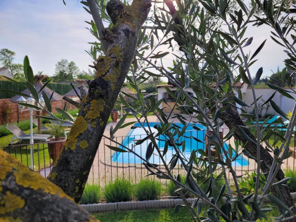 Les chambres d'hôtes d'Eloïse, piscine privée Aramon Exterior foto